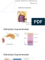 Insuficiencia Suprarrenal