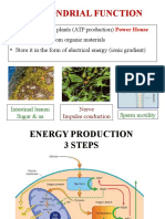 Glycolysis and Energitics IMSc II Sem