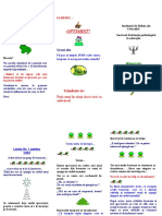 Fii Optimist - Alegoria Broscutelor-1