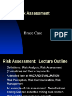 Risk Assessment: Bruce Case