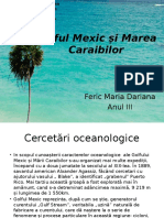 Golful Mexic Şi Marea Caraibilor