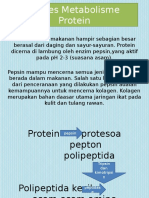 Biologi PPT Protein