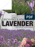 Info about Lavender.pdf