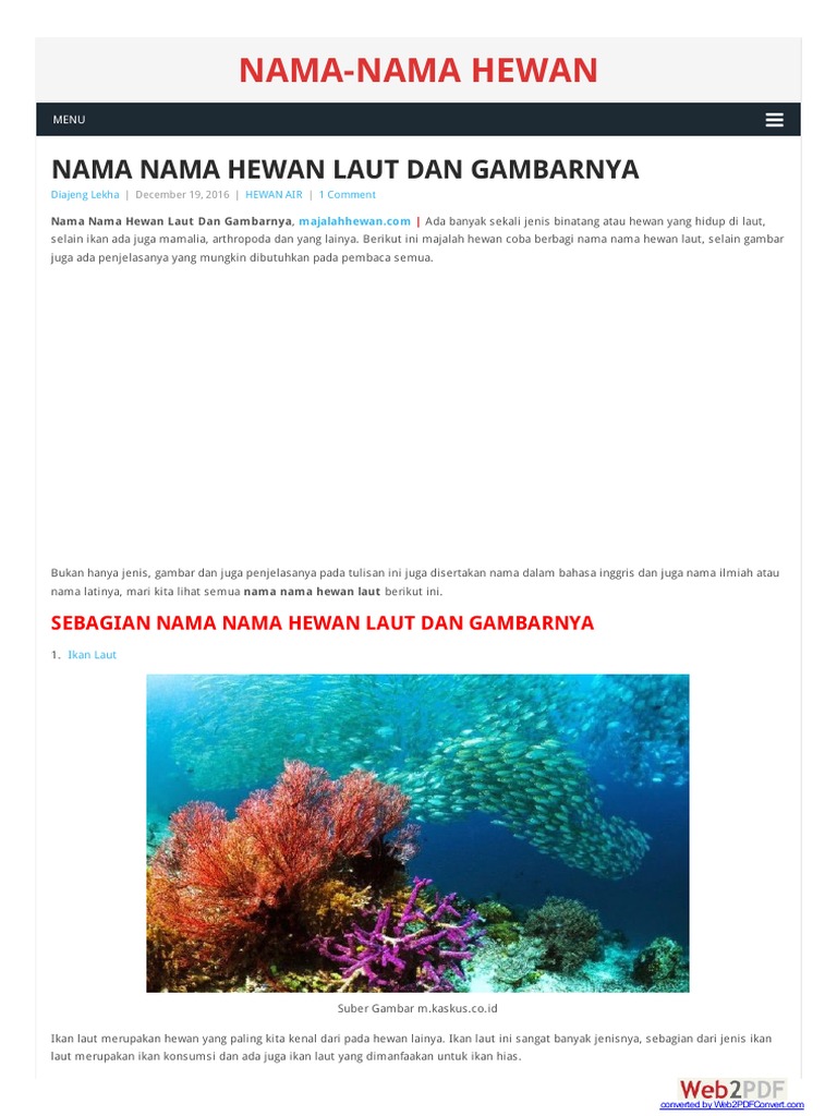 580 Gambar Jenis Hewan Laut Gratis