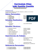 Curriculum Vitae de Deibi Castillo.doc
