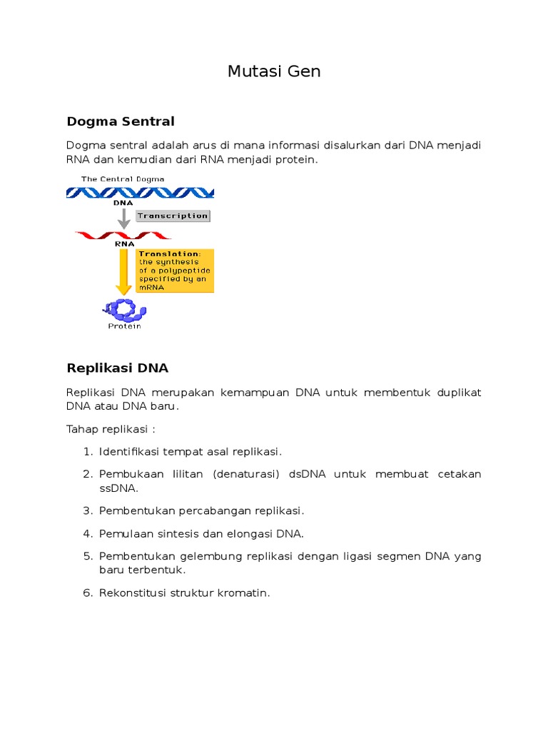 Mutasi Gen dan Proses Sintesis DNA | PDF