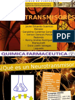 NeuroTransmiSores