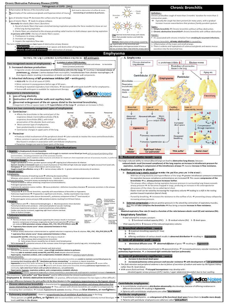 COPD: Emphysema vs. Chronic Bronchitis | PDF | Chronic Obstructive ...