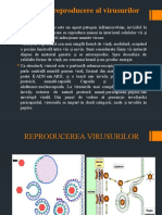 Reproducerea Virusurilor