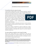 O campo de energia humano.pdf