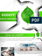 Codeff