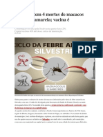 Salvador Tem 4 Mortes de Macacos Por Febre Amarela