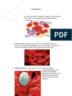 Ciencia Naturales