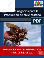 Impulsora Agp Del Usumacinta S.P.R. de R.L. de C.V PDF