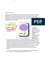 Dogma Senntral