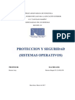 PROTECCION Y SEGURIDAD (Ensayo Tecnologico)