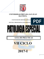 G.p.patología Especial 2017-I