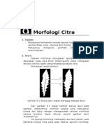 Morfologi Citra