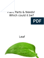 Plant Science Lesson Game