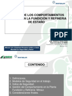 Gestión de Los Comportamientos Seguros en La Fundición y Refineria de Estaño PDF