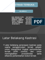 Kastrasi Terbukak