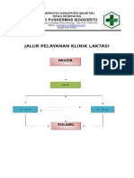 Jalur Pelayanan Klinik Laktasi