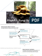 W5final-Proj1 Rledesma Rev2