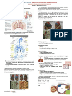 Approach To The Patient With Respiratory Disease PDF