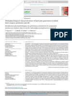 Pathophysiological characterisation of back pain generators in failedback surgery syndrome