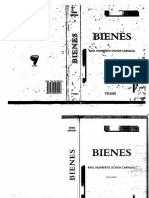 Libro de Bienes PDF
