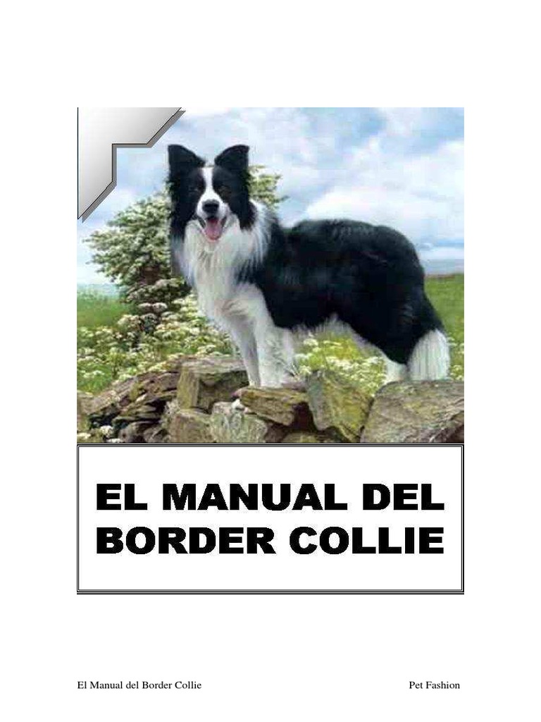 El Manual Del Border Collie | PDF | Border Collie | Collie