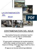 Contaminacion Del Agua