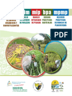 MANUAL DE CAPACITACION BPA - PALMA.pdf