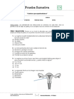 Prueba Sumativa Ciencias 6Basico 