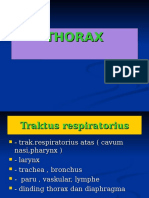 Kuliah Thorax 