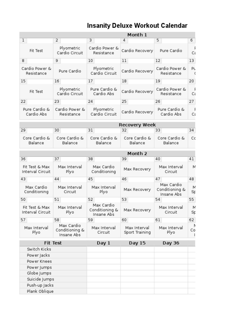 Insanity Workout Schedule Deluxe Modern PDF Physical Exercise