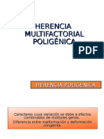 Herencia Multifactorial Poligénica