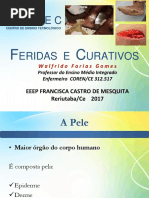 Feridas e Curativos EEEP 2017 WFG