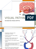 VISUAL PATHWAY