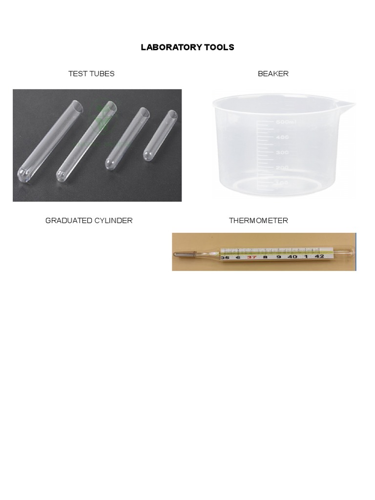 Test Tube Overview in Lab Tools | PDF