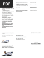 Soporte Técnico a Distancia