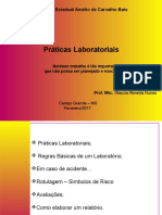 Aula Praticas Laboratoriais