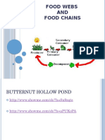 Food Webs