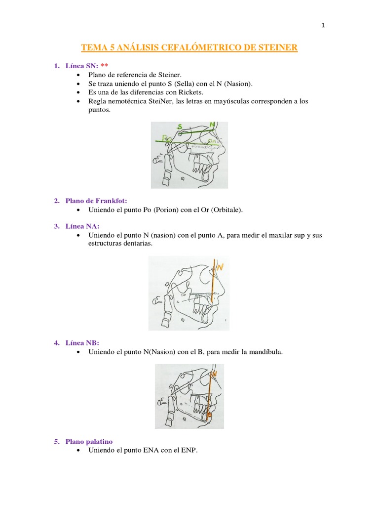 Analisis Cefalometrico Steiner | PDF | Diente | Boca