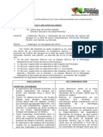 Informe supervisión 2015 - copia.docx