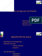 Absorcion de Agua Por Las Plantas PDF