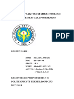 Laporan Praktikum Pembakaran