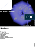Biofisica7 PDF