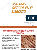 1.-SISTEMAS-ENERGETICOS-EN-EL-EJERCICIO