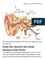 Anatomy of the Ear.pdf